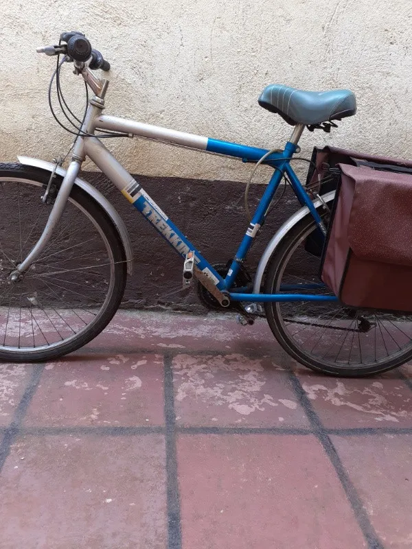 Vand bicicleta TREKKING, utilizata, cu 2 cutii depozitare - Imaginea 3