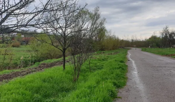 Proprietar vand 3 x parcele teren intravilan de 2. 241 m2 la Crivobara - Imaginea 8