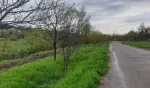 Proprietar vand 3 x parcele teren intravilan de 2. 241 m2 la Crivobara - Miniatura 8
