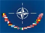 Traduceri rapide in Botosani & Romania - Miniatura 9