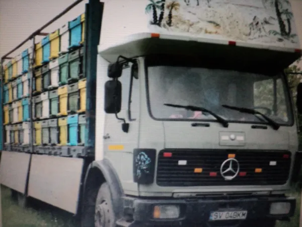 Vand MERCEDES BENAZ 17 tone camion, platforma, prelata sau pt apicol stupi, stare f buna - Imaginea 5