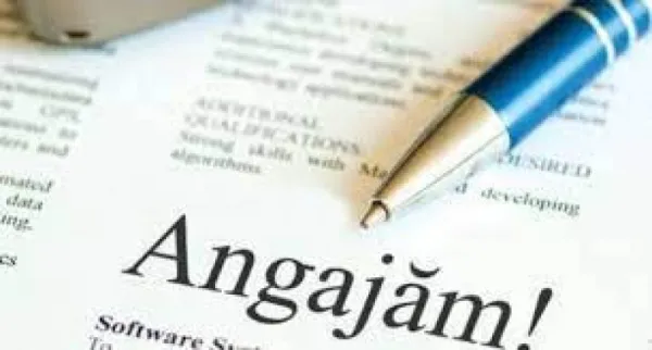 Angajez postator anunturi de la domiciliu. - Imaginea 1