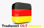 Traduceri rapide OLT - Slatina online AHR - Miniatura 3