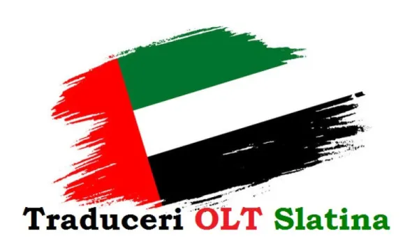 Traduceri rapide OLT - Slatina online AHR - Imaginea 5