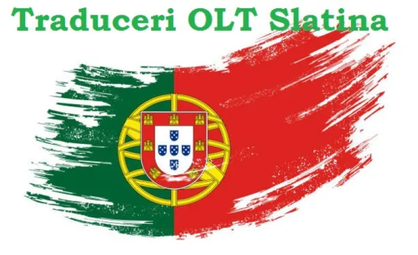 Traduceri rapide OLT - Slatina online AHR - Imaginea 6