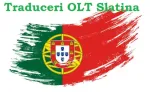 Traduceri rapide OLT - Slatina online AHR - Miniatura 6