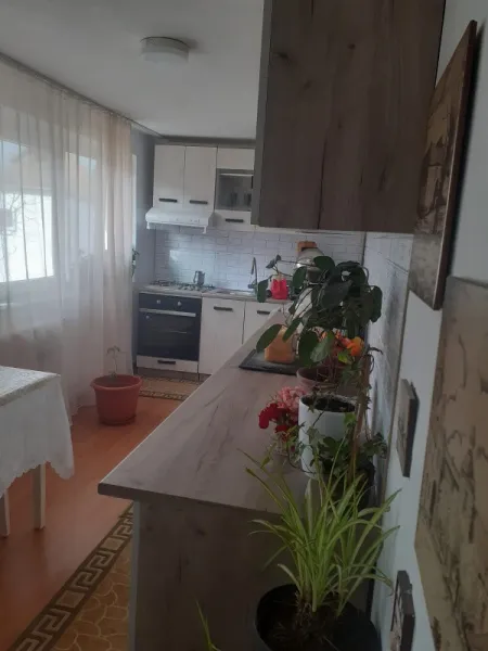 Casa la tara - Imaginea 9