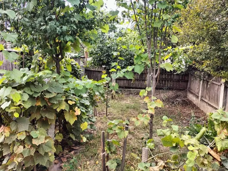 vand casa in barlad str dimitrie cantemir - Imaginea 4