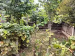 vand casa in barlad str dimitrie cantemir - Miniatura 4