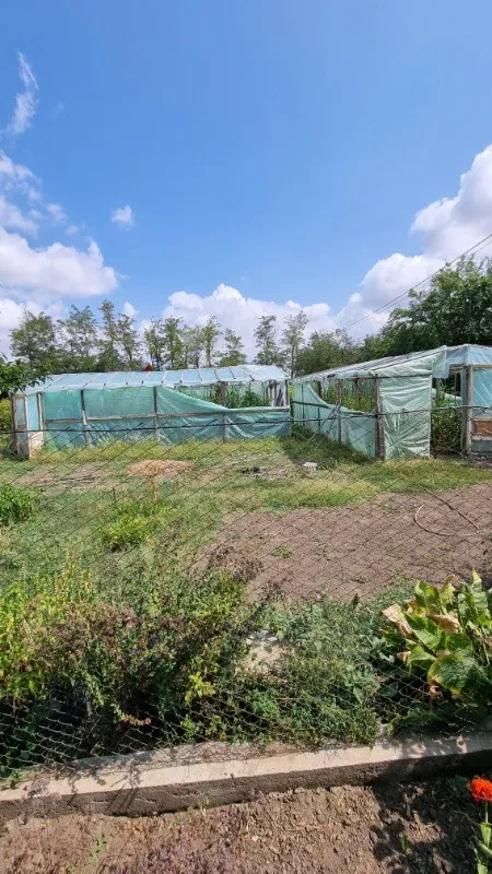 DE VANZARE CASA + TEREN SAT LUPSANU, JUD. CALARASI - DIRECT PROPRIETAR - Imaginea 6