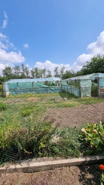 DE VANZARE CASA + TEREN SAT LUPSANU, JUD. CALARASI - DIRECT PROPRIETAR - Imaginea 6