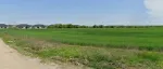 NOU! Proprietar vand teren 2. 8 ha in intravilan, Tamasi ( Corbeanca) - Miniatura 3