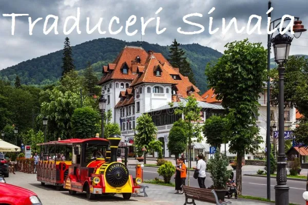 Traduceri - Copy& Print - Papetarie - Sinaia - Imaginea 1