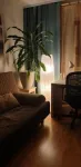 Inchiriere apartament 2 camere, 37mp, mobilat si utilat, B- dul Constantin Brincoveanu, 350euro - Miniatura 3