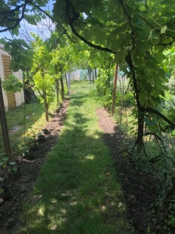 Casa 140mp, 4 camere, constructie 1965, teren 855mp, Timisoara, 460. 000euro - Imaginea 8
