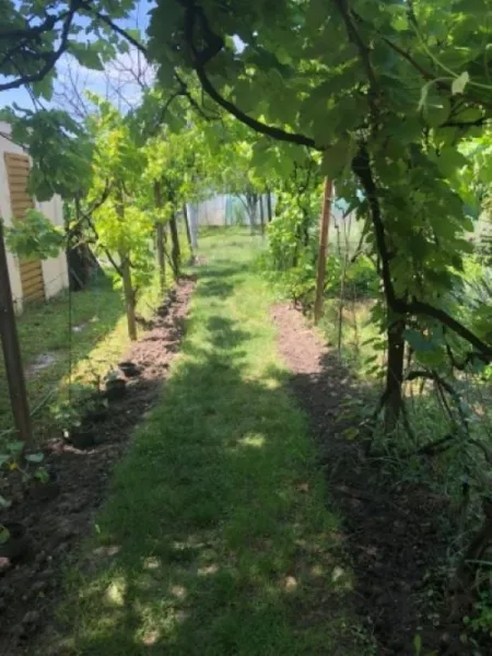 Casa 140mp, 4 camere, constructie 1965, teren 855mp, Timisoara, 460. 000euro - Imaginea 8