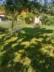 Casa 140mp, 4 camere, constructie 1965, teren 855mp, Timisoara, 460. 000euro - Miniatura 9