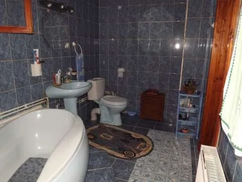 Casa de vanzare -  MOLDOVA SULITA - Imaginea 10