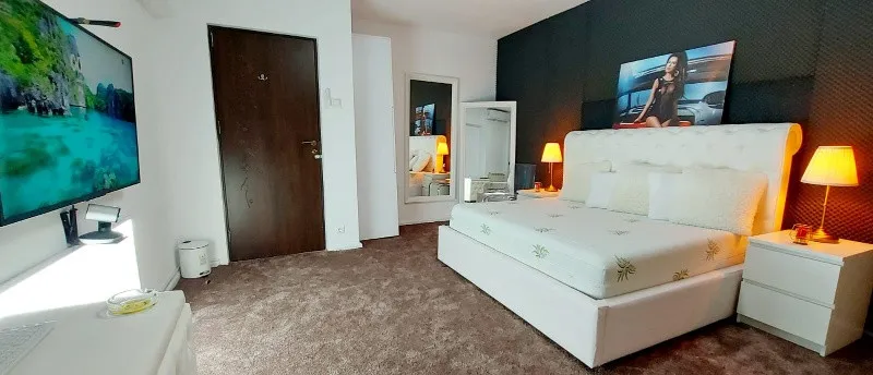 Vanzare Studio Videochat cu 4 camere active in Bucuresti - Unirii - Imaginea 1