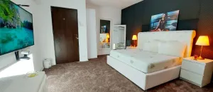 Vanzare Studio Videochat cu 4 camere active in Bucuresti - Unirii