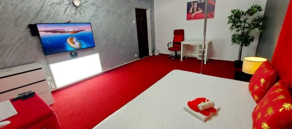 Vanzare Studio Videochat cu 4 camere active in Bucuresti - Unirii - Imaginea 3