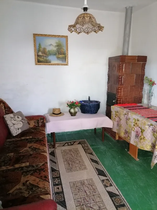 Vand/ Schimb Casa in Orsova zona Sud - Imaginea 6