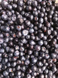 Voi vinde coacazele negre congelate din Ucraina