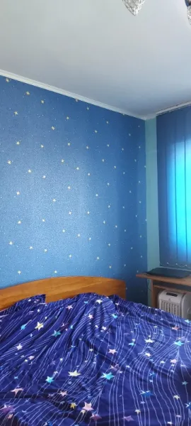 Vand apartament 2 confort 1 etaj 8/ 9 zona Nord PENNY - Imaginea 3