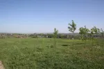 teren pentru constructii - Miniatura 2