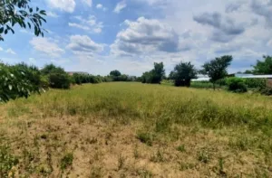Teren de vanzare in Crangurile, deschidere 15ml, 440 mp, 11. 000 euro