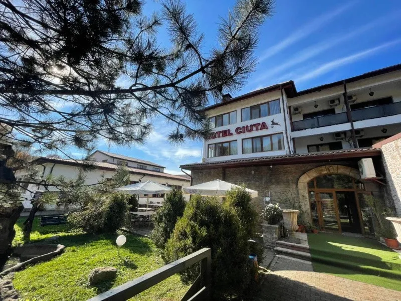 Hotel Ciuta in Judetul Buzau - Imaginea 1