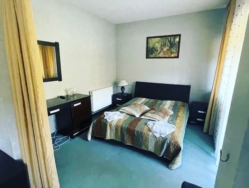Hotel Ciuta in Judetul Buzau - Imaginea 7