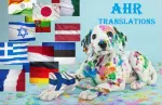 BIROU DE TRADUCERI IN PLOIESTI  - AHR - Miniatura 5
