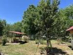 Vila 6 camere, 125mp utili, teren 700mp, zona Breaza, Prahova, 325. 000euro - Miniatura 7