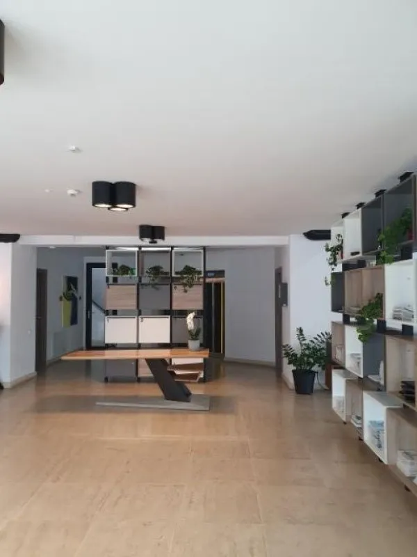Spatiu comercial de inchiriat in zona Corneliu Coposu, 350mp, 5250euro - Imaginea 1