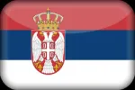 Traduceri rapide in Timisoara & Romania - Miniatura 8