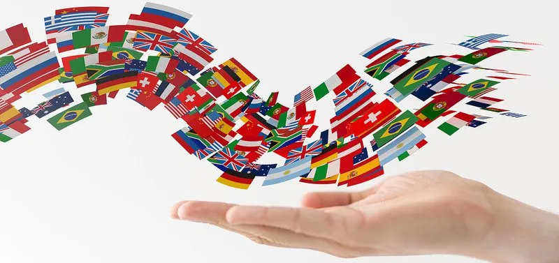 Traduceri tehnice- juridice online in Romania - AHR - Imaginea 4