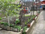 Casa P+E+M 41000 Euro - Miniatura 4