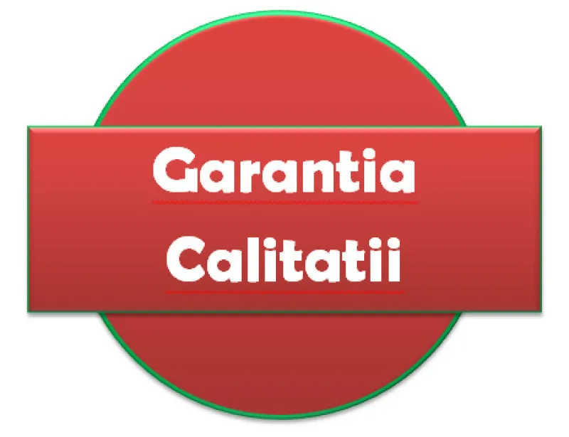 Servicii specializate de traducere Tulcea - Imaginea 5