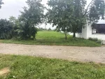 Teren 3128 mp, intravilan cu doua numere de casa, Gherla la 45km de Cluj- Napoca - Miniatura 2