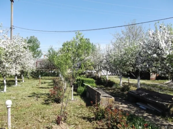 Teren de vanzare in Butimanu, deschidere 26ml, 4000 mp, 65. 000 euro - Imaginea 2