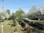 Teren de vanzare in Butimanu, deschidere 26ml, 4000 mp, 65. 000 euro - Miniatura 2