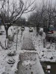 Teren de vanzare in Butimanu, deschidere 26ml, 4000 mp, 65. 000 euro - Miniatura 4