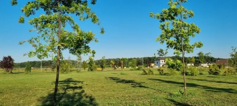 Teren de vanzare, Gulia, complex Eden Forest, deschidere 30ml, 937 mp, 53. 000euro - Imaginea 3