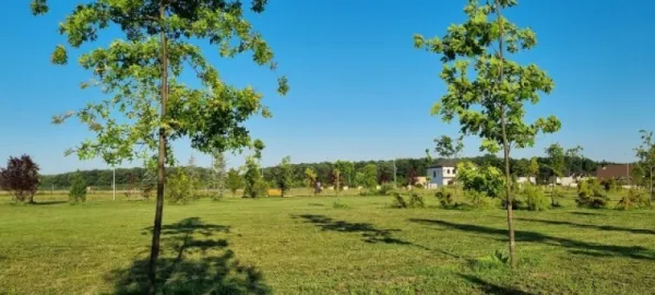 Teren de vanzare, Gulia, complex Eden Forest, deschidere 30ml, 937 mp, 53. 000euro - Imaginea 3