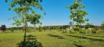 Teren de vanzare, Gulia, complex Eden Forest, deschidere 30ml, 937 mp, 53. 000euro - Miniatura 3
