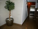Inchiriez apartament 3 camere, decomandat, 110mp, Aviatorilor, 1. 950euro - Miniatura 8