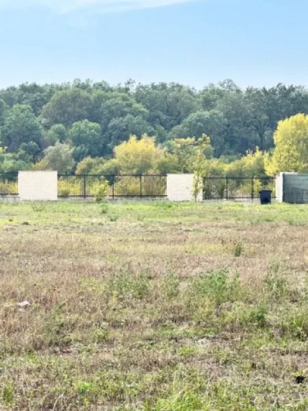 Teren de vanzare, Gulia, complex Eden Forest, deschidere 30ml, 937 mp, 53. 000euro - Imaginea 7
