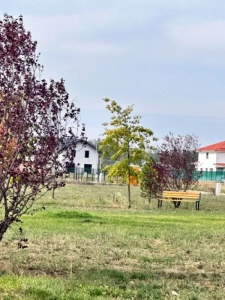 Teren de vanzare, Gulia, complex Eden Forest, deschidere 20ml, 610 mp, 36. 000euro - Imaginea 5