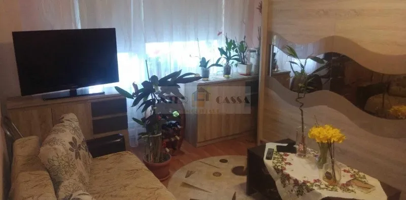 Apartament 2 camere Tudor zona Palas - Imaginea 1